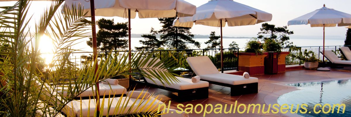 nl.saopaulomuseus.com